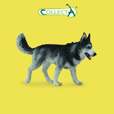 Фигурка Collecta Сибирская лайка 6.2 см 1 шт