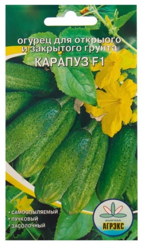 Агрэкс огурец «Карапуз»
