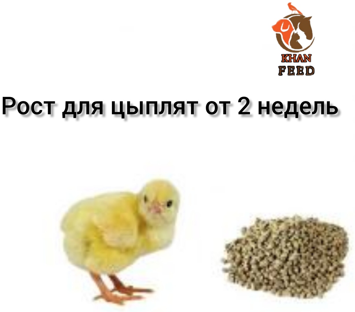 Khan Feed Рост комбикорм 10 кг