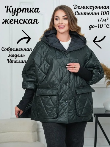 Демисезонная куртка синий