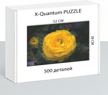 X-Quantum puzzle_jeoqecjpbk классический 500 деталей