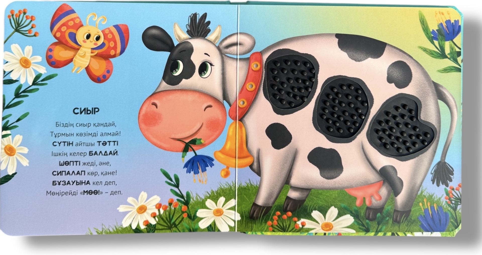 Жыныс мүшесінің ұзындығы 11 см, шеңбері 11 см