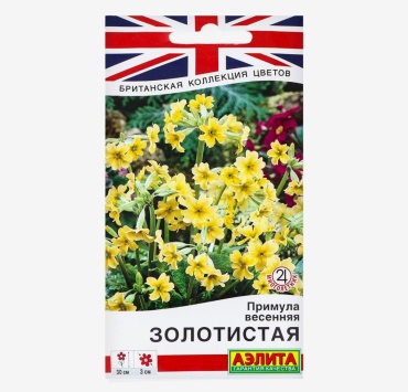 Аэлита примула Золотистая весенняя