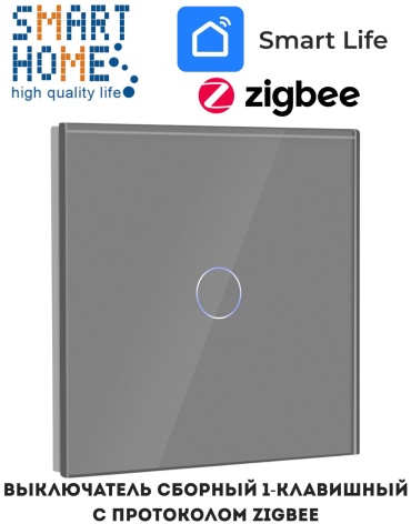 Кнопка сенсорного управления SMART HOME ZG-101_GP001_GR, серый