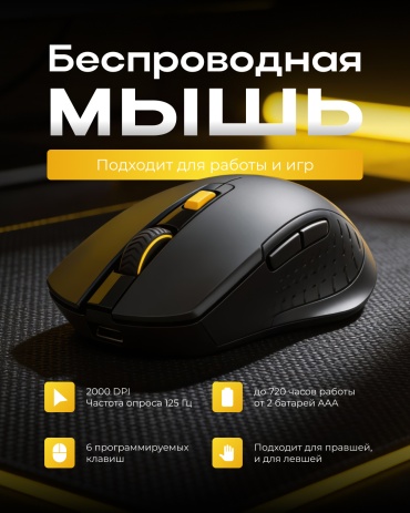 F3 RAIGOR III WG12R черный