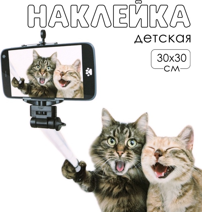 Take It Easy Котики селфятся, 10059204 30x30 см