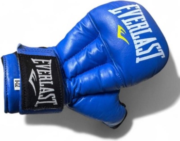 Боксерские перчатки Everlast 12 oz синий