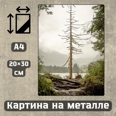 Sequoia VERS картина Картина на металле а4 Дыхание природы 20*30см 20x30 см