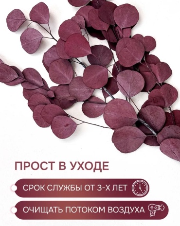 Фото 6