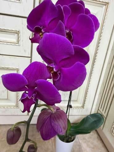 Фото 2