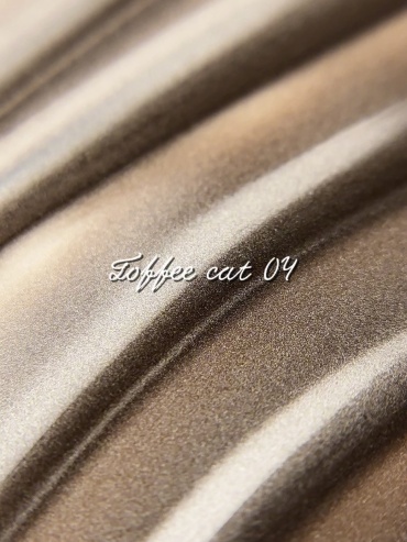 Stefany for nails гель-лак Toffee cat 04 камуфлирующее 10 мл