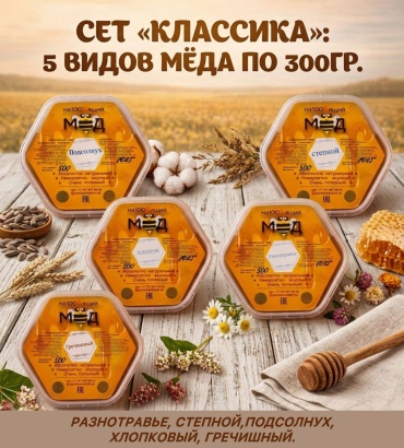 На100%ящий мёд сет Классика 5 шт по 300 г