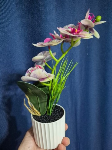Фото 2