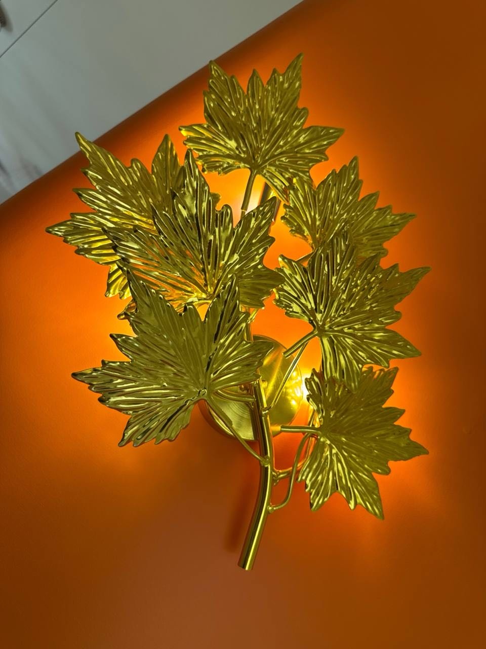 Фото 4
