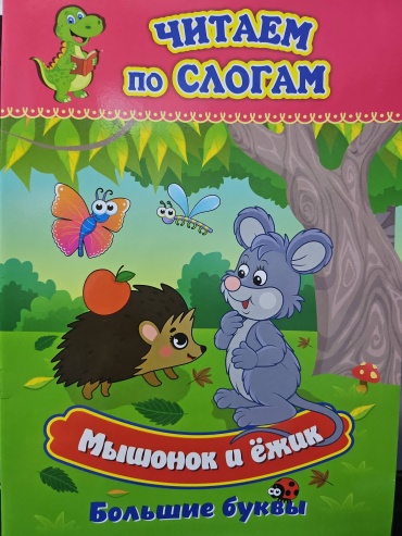 Г.П.Попова: Мышонок и ёжик. Читаем по слогам. Большие буквы