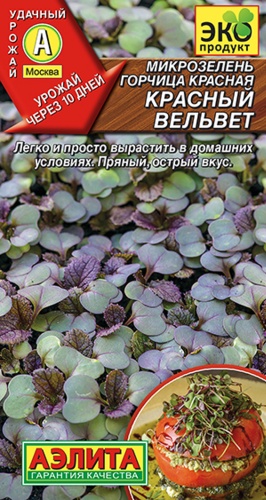 Аэлита микрозелень Горчица Красный Вельвет