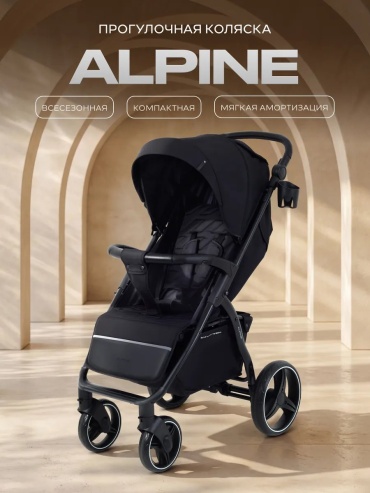 Коляска универсальная 2 в 1 RANT Alpine, черный