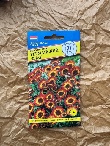 Престиж хризантема Германский флаг