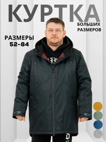 Демисезонная куртка WIKO черный