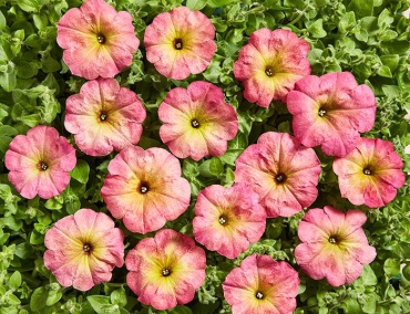 Фото 2