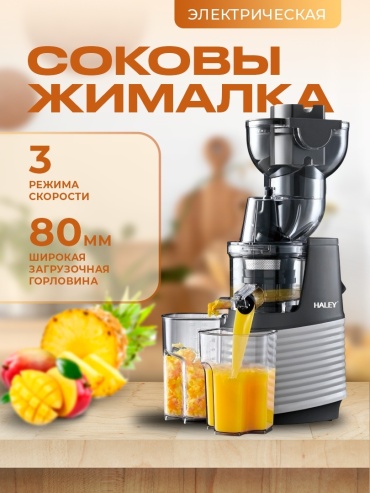 Соковыжималка Haley HY-602 черный