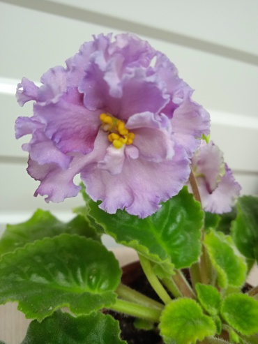 Фото 2