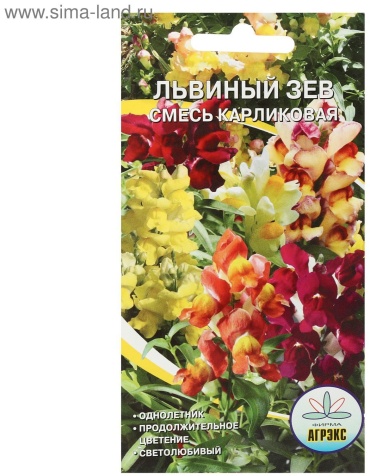 Агрэкс львиный зев карликовая