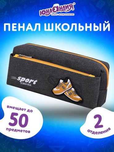 Пенал ЮНЛАНДИЯ 151448607, застежка молния, черный