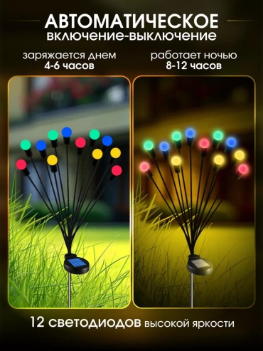 Фото 3