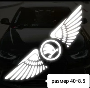 CAR наклейка Skoda 40x8.5 см