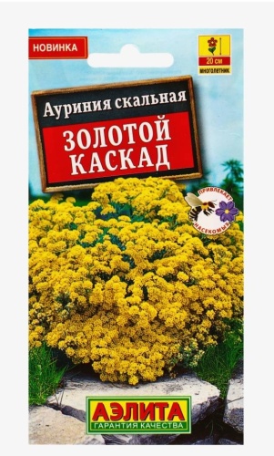 Аэлита алиссум Золотой каскад