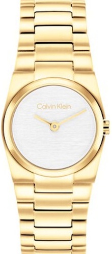 Кварцевые Calvin Klein 25100122 сталь