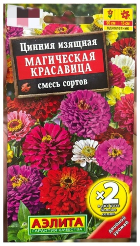 Аэлита цинния Магическая красавица