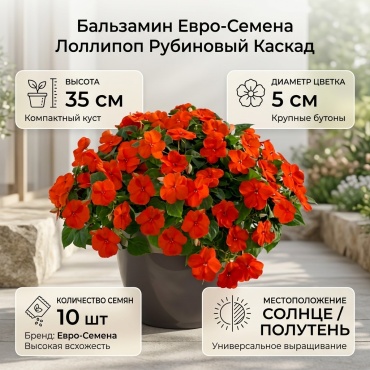 Евро-Семена бальзамин Бальзамин Лоллипоп Рубиновый Каскад
