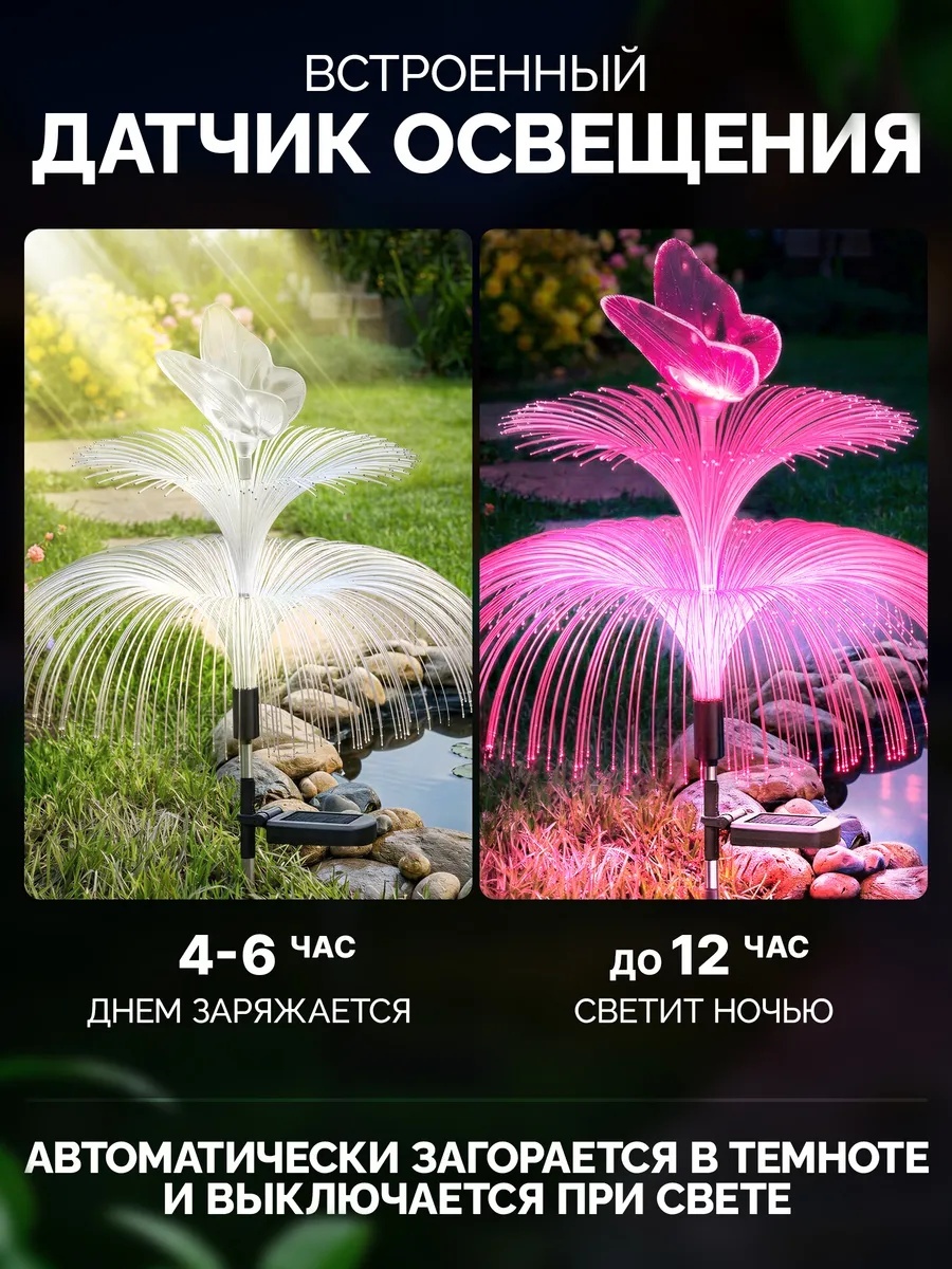 Фото 4
