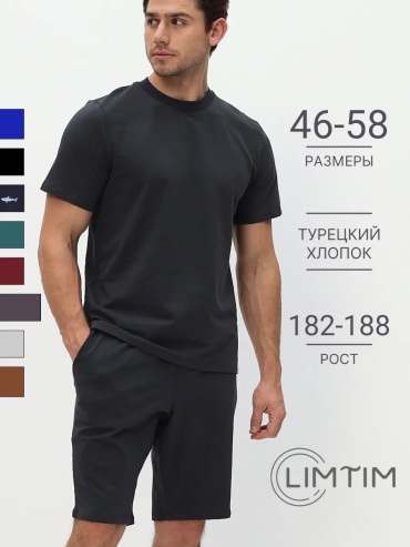 Повседневные шорты LIMTIM серый