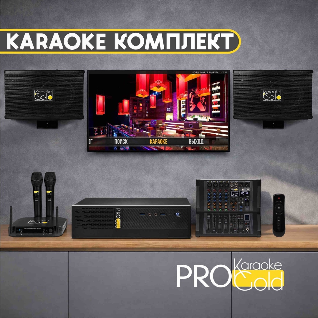 Караоке-система Pro-karaoke Gold черный
