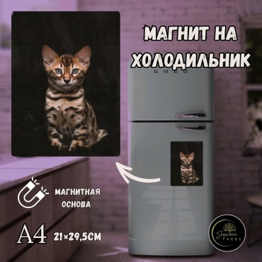 Sequoia VERS магнит-сувенир катята А4 магнит на холодильник 1 шт