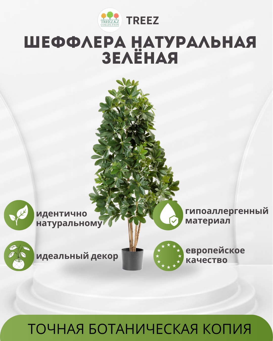 Дерево Treez шефлера 110 см, 10.38504N