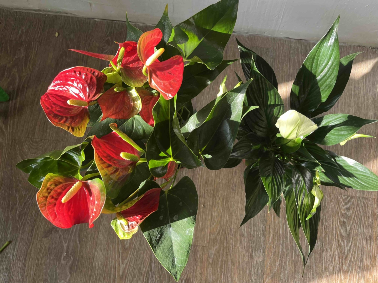Фото 3