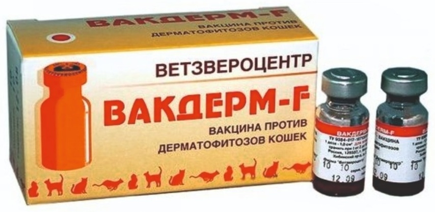 Вакцина Ветзвероцентр Вакдерм-F против дермафитозов кошек суспензия
