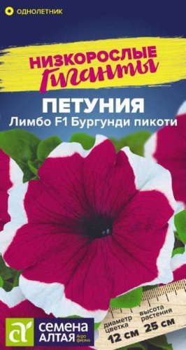 Семена Алтая петуния Лимбо F1 Бургунди пикоти