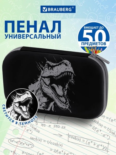 Пенал Brauberg 391952011, застежка молния, черный