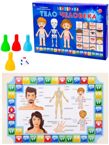 Настольная игра РЫЖИЙ КОТ Тело человека