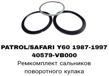 RTL-DSN ремкомплект поворотного кулака 40579-VB000