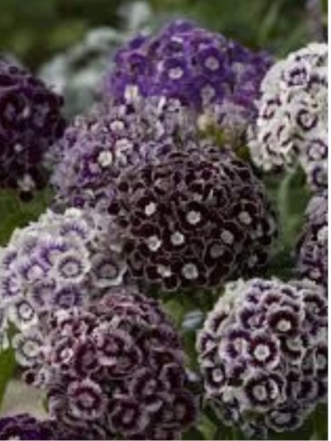 Фото 2