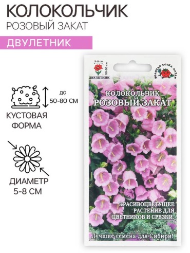 Золотая сотка Алтая колокольчик Розовый закат