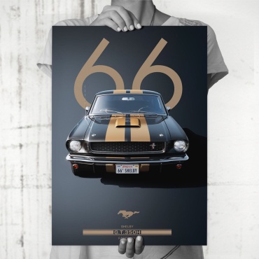 PEMIKAN CRAFT постер Mustang Shelby GT350 30x40 см