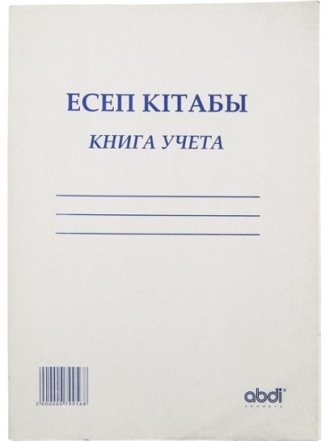 Журнал учета Набоков и К ABD-0008, А4, 96 л