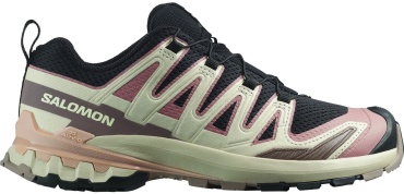 Кроссовки Salomon Xa Pro 3D V9 бежевый